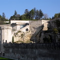 DSC07203